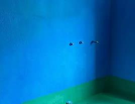 枞阳卫生间测漏水多少钱